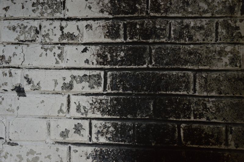 Quick Maintenance Habit